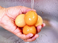Ảnh bìa bài viết 896025