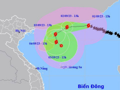 Ảnh bìa bài viết 896252