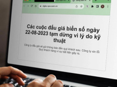 Ảnh bìa bài viết 896154