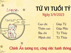 Ảnh bìa bài viết 896420