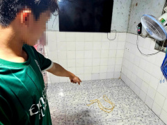 Ảnh bìa bài viết 896504