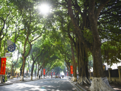 Ảnh bìa bài viết 896423