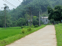 Ảnh bìa bài viết 896462