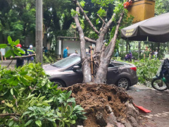 Ảnh bìa bài viết 896624
