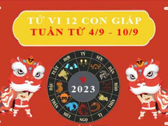 Ảnh bìa bài viết 896693