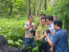 Ảnh bìa bài viết 897010