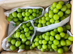 Ảnh bìa bài viết 896883