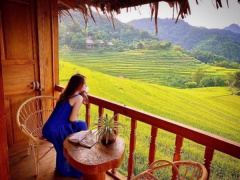 Ảnh bìa bài viết 896889