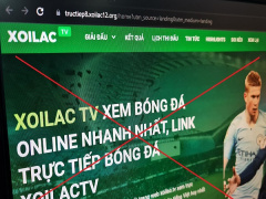 Ảnh bìa bài viết 897126