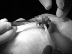 Ảnh bìa bài viết 897138
