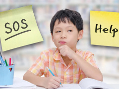 Ảnh bìa bài viết 897761