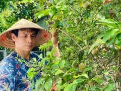 Ảnh bìa bài viết 897751