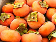 Ảnh bìa bài viết 898059