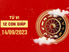 Ảnh bìa bài viết 898168
