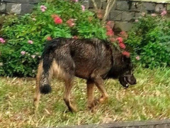 Ảnh bìa bài viết 898209