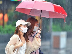Ảnh bìa bài viết 898498