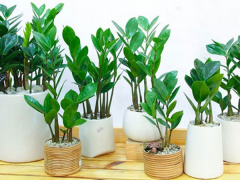 Ảnh bìa bài viết 898853