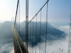 Ảnh bìa bài viết 899307