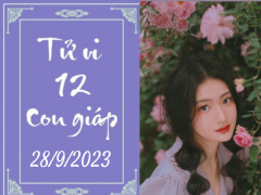 Ảnh bìa bài viết 900385