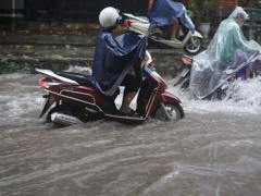 Ảnh bìa bài viết 900530