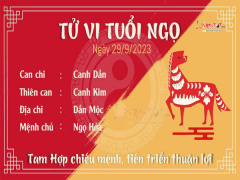 Ảnh bìa bài viết 900575