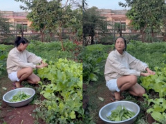 Ảnh bìa bài viết 901071