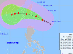 Ảnh bìa bài viết 901219