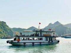 Ảnh bìa bài viết 901494