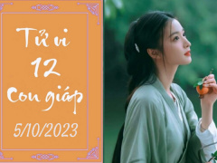 Ảnh bìa bài viết 901503