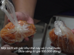 Ảnh bìa bài viết 901476