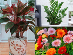 Ảnh bìa bài viết 901562