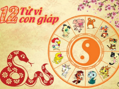 Ảnh bìa bài viết 901680