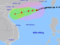 Ảnh bìa bài viết 901952