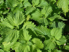 Ảnh bìa bài viết 901923