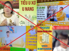 Ảnh bìa bài viết 901844