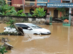 Ảnh bìa bài viết 901931