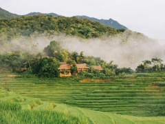 Ảnh bìa bài viết 901906