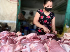 Ảnh bìa bài viết 901895