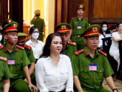Ảnh bìa bài viết 902082