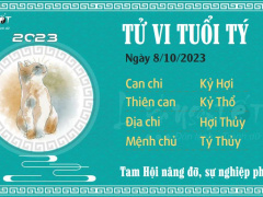 Ảnh bìa bài viết 901962