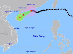 Ảnh bìa bài viết 902118