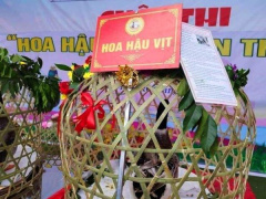 Ảnh bìa bài viết 902587