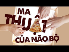 Ảnh bìa bài viết 902520
