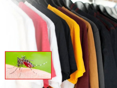 Ảnh bìa bài viết 902708