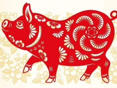 Ảnh bìa bài viết 902891