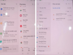 Ảnh bìa bài viết 902935