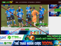 Ảnh bìa bài viết 902987