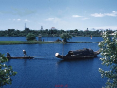 Ảnh bìa bài viết 903153