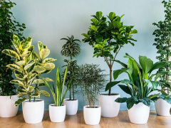 Ảnh bìa bài viết 903243
