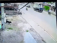 Ảnh bìa bài viết 903219